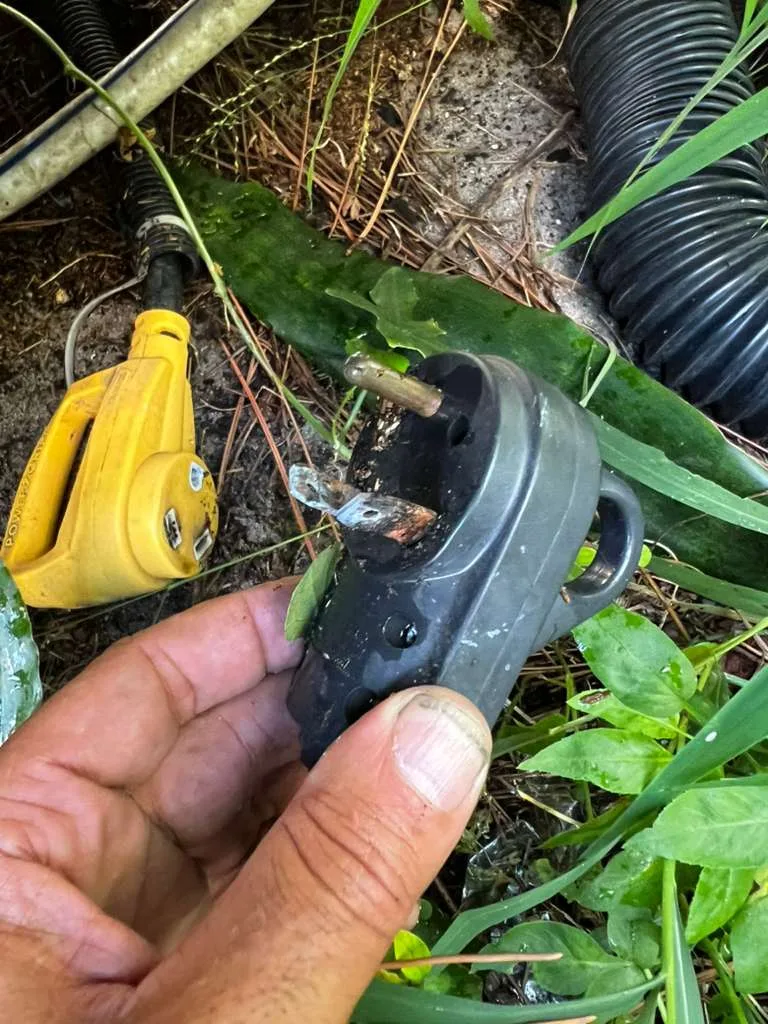 Burnt shore power components from a generator transfer switch failure