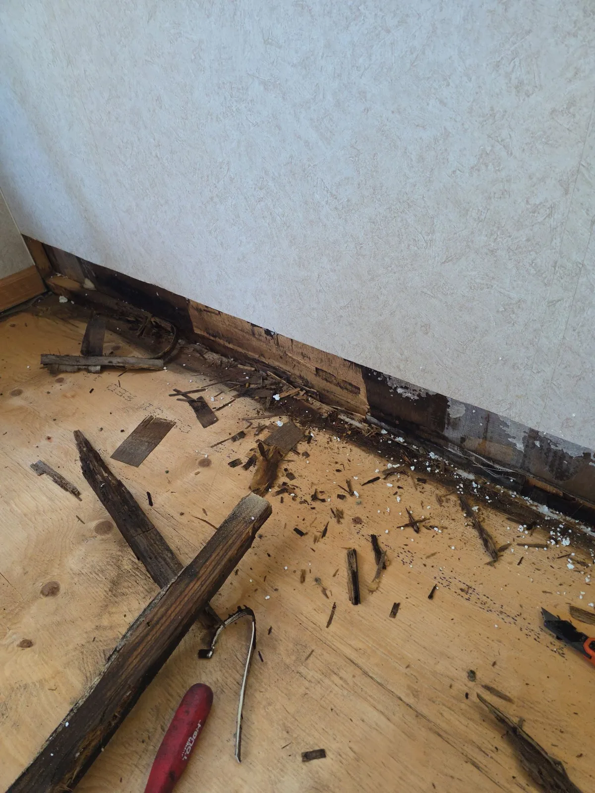 Damage to RV floor and walls after an undetected water leak